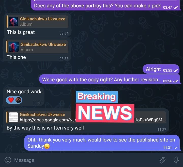 Telegram messages approving copy: Nice good work, By the way this is written very well